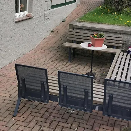 Ginko ורניגרוד