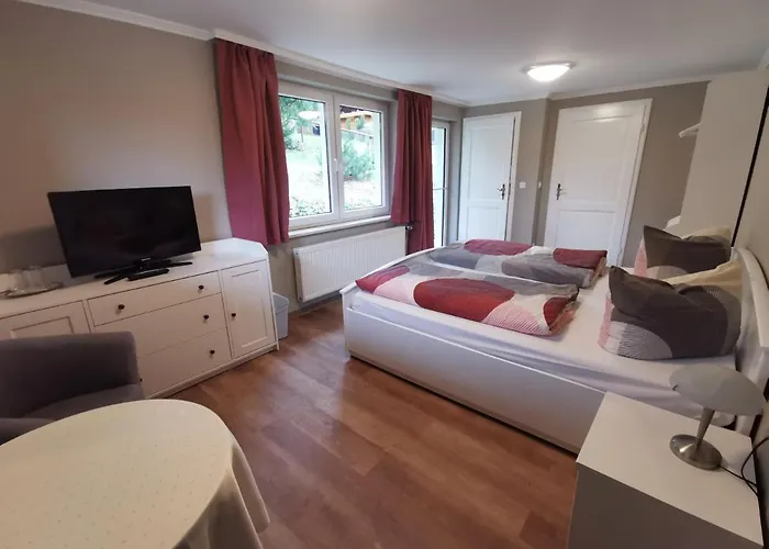 Ginko 3* ורניגרוד