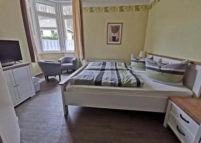 Ginko בית הארחה ורניגרוד