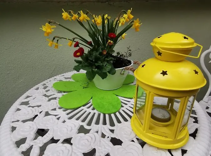 Ginko ורניגרוד