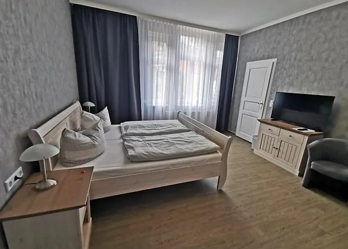 Ginko 3* ורניגרוד